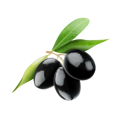 Nature Life Ege Siyah Zeytin